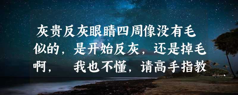 灰贵反灰眼睛四周像没有毛似的，是开始反灰，还是掉毛啊， 我也不懂，请高手指教