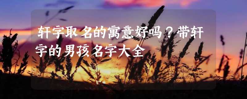 轩字取名的寓意好吗？带轩字的男孩名字大全