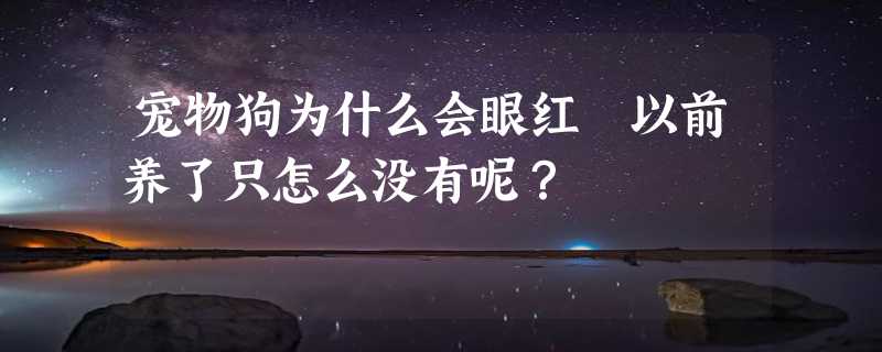 宠物狗为什么会眼红 以前养了只怎么没有呢？