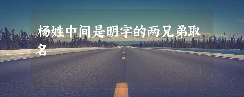 杨姓中间是明字的两兄弟取名