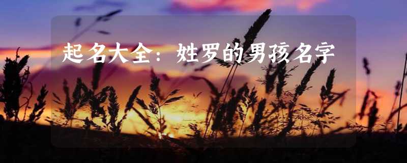 起名大全：姓罗的男孩名字