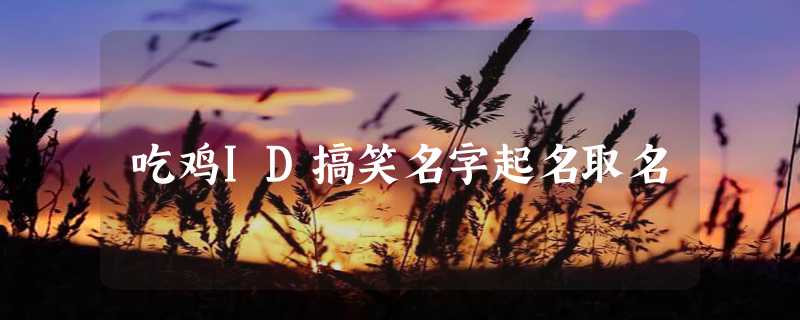 吃鸡ID搞笑名字起名取名