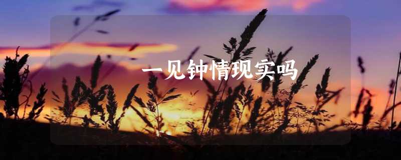 一见钟情现实吗