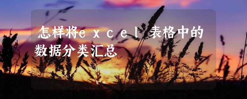 怎样将excel表格中的数据分类汇总