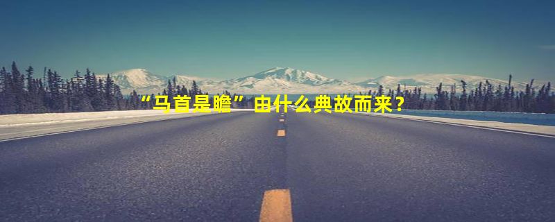 “马首是瞻”由什么典故而来？