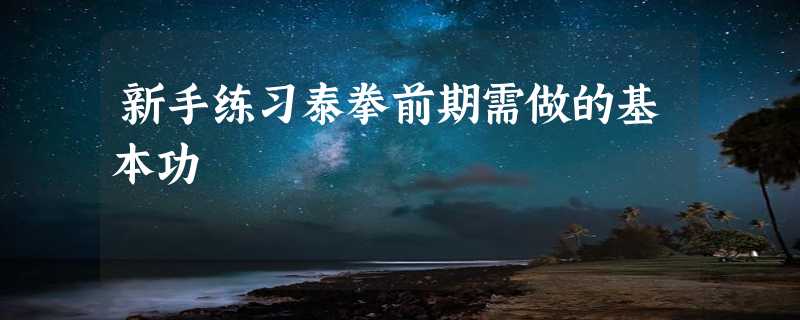 新手练习泰拳前期需做的基本功