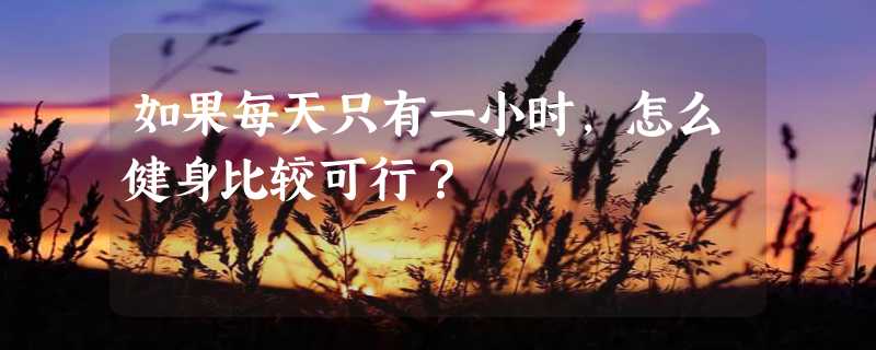 如果每天只有一小时，怎么健身比较可行？