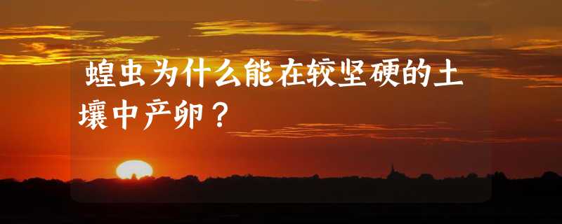 蝗虫为什么能在较坚硬的土壤中产卵？