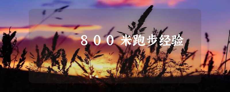 800米跑步经验