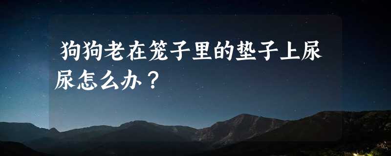 狗狗老在笼子里的垫子上尿尿怎么办？