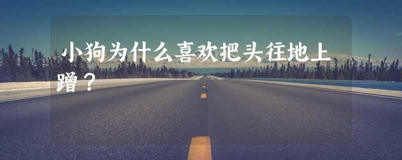 小狗为什么喜欢把头往地上蹭？