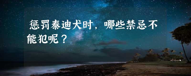 惩罚泰迪犬时，哪些禁忌不能犯呢？