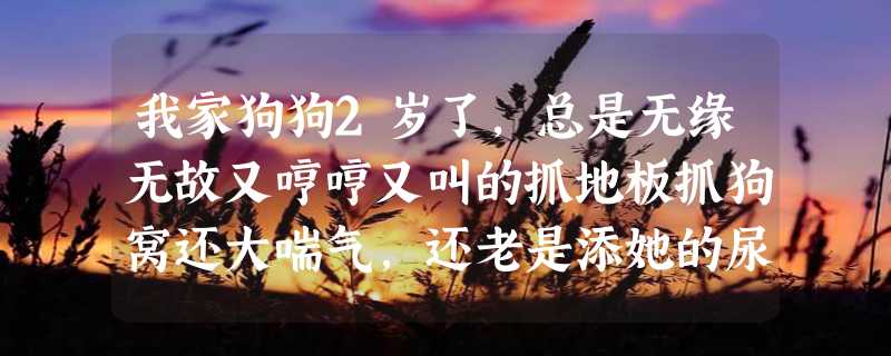 我家狗狗2岁了，总是无缘无故又哼哼又叫的抓地板抓狗窝还大喘气，还老是添她的尿道,