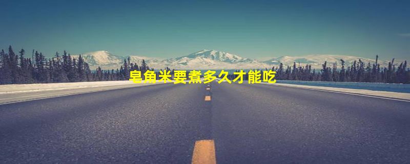 皂角米要煮多久才能吃