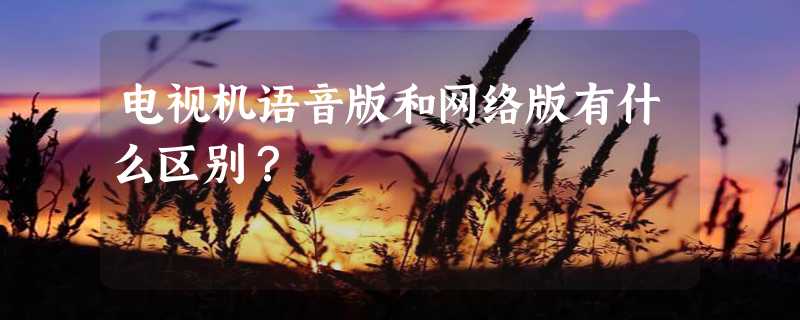 电视机语音版和网络版有什么区别？