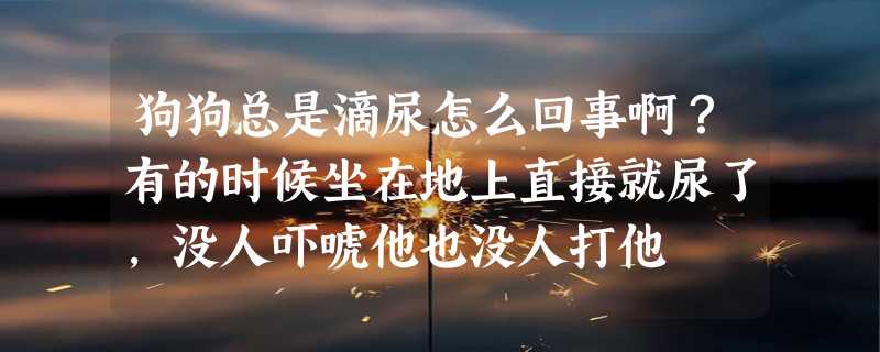 狗狗总是滴尿怎么回事啊？有的时候坐在地上直接就尿了，没人吓唬他也没人打他