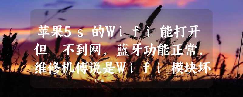 苹果5s的Wifi能打开但捜不到网，蓝牙功能正常，维修机傅说是Wifi模块坏