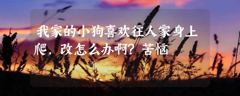 我家的小狗喜欢往人家身上爬,改怎么办啊?苦恼