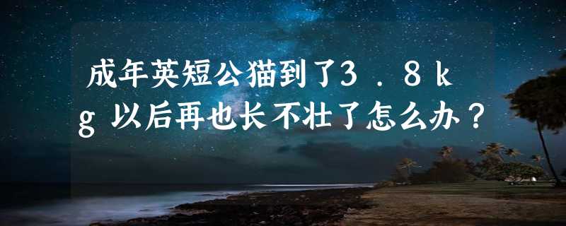 成年英短公猫到了3.8kg以后再也长不壮了怎么办？