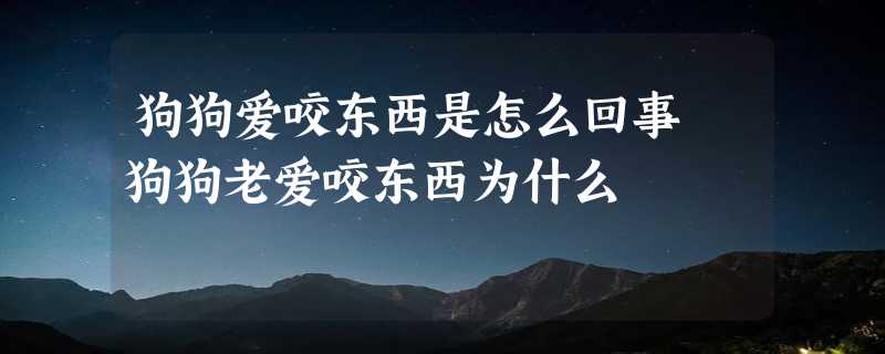 狗狗爱咬东西是怎么回事 狗狗老爱咬东西为什么