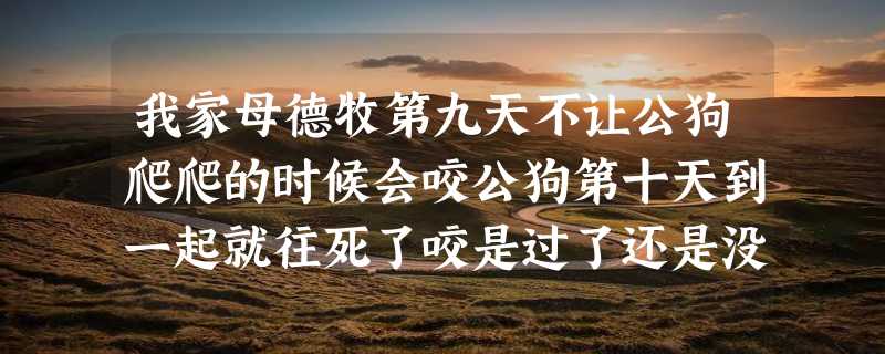 我家母德牧第九天不让公狗爬爬的时候会咬公狗第十天到一起就往死了咬是过了还是没到时候