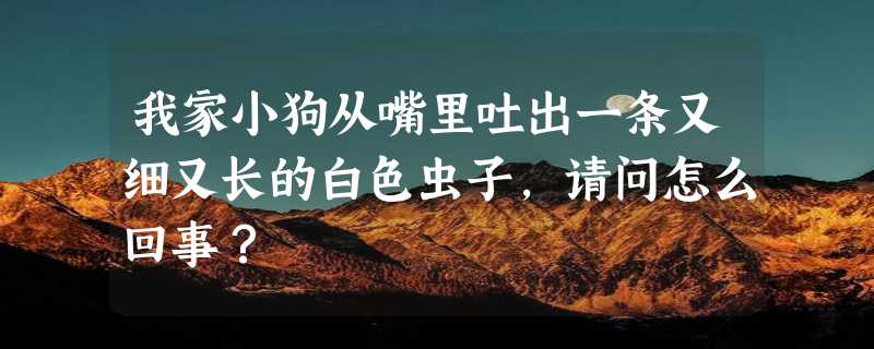 我家小狗从嘴里吐出一条又细又长的白色虫子，请问怎么回事？