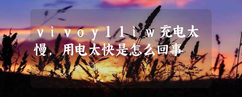 vivoy11iw充电太慢，用电太快是怎么回事