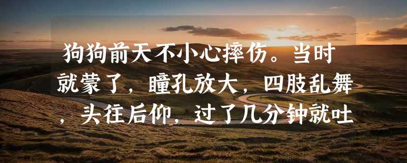 狗狗前天不小心摔伤。当时就蒙了，瞳孔放大，四肢乱舞，头往后仰，过了几分钟就吐了。我吓坏了，没敢动