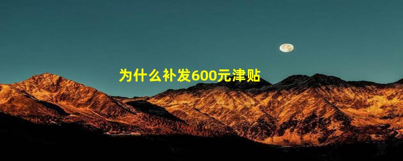 为什么补发600元津贴