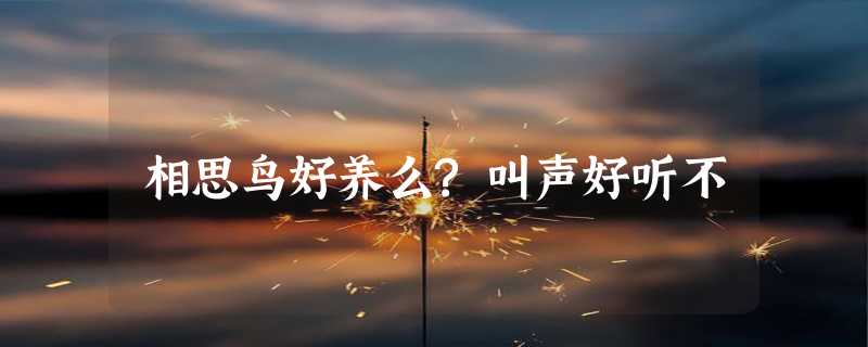 相思鸟好养么?叫声好听不