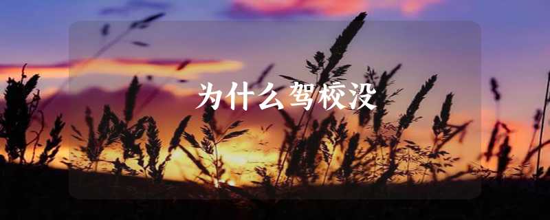 为什么驾校没