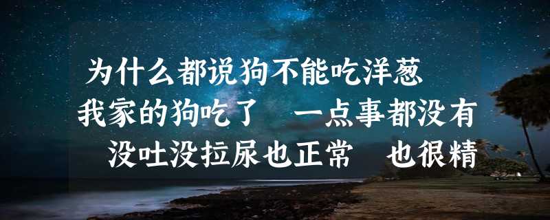 为什么都说狗不能吃洋葱 我家的狗吃了 一点事都没有 没吐没拉尿也正常 也很精神啊