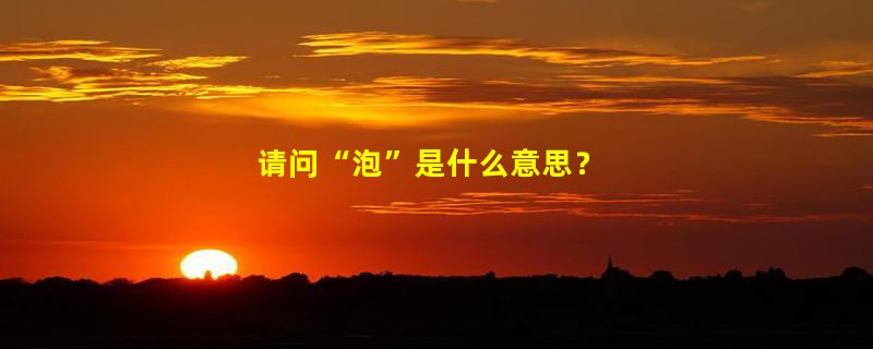 请问“泡”是什么意思？