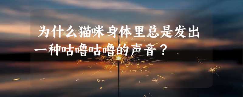 为什么猫咪身体里总是发出一种咕噜咕噜的声音？