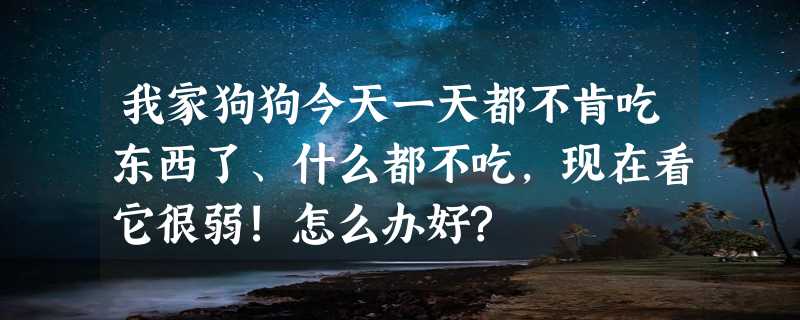 我家狗狗今天一天都不肯吃东西了、什么都不吃，现在看它很弱!怎么办好?