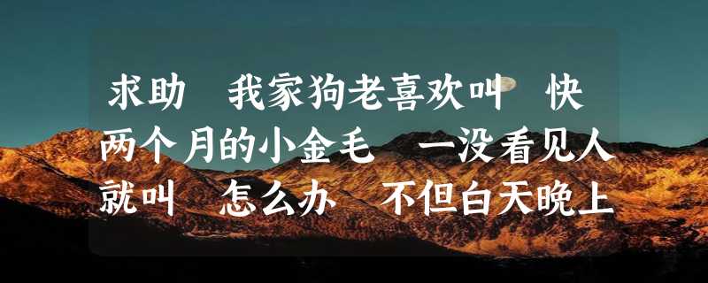 求助 我家狗老喜欢叫 快两个月的小金毛 一没看见人就叫 怎么办 不但白天晚上也叫的厉害 让人都睡不