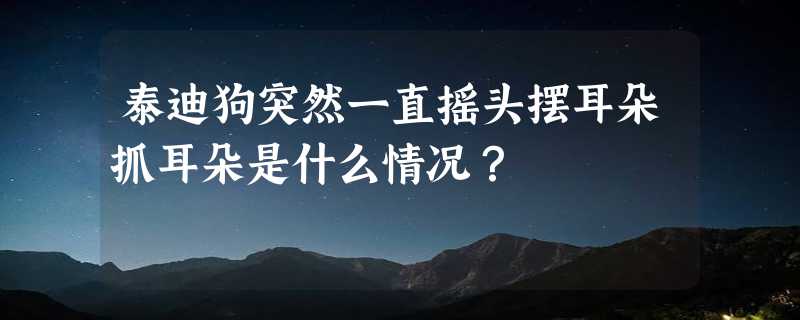 泰迪狗突然一直摇头摆耳朵抓耳朵是什么情况？