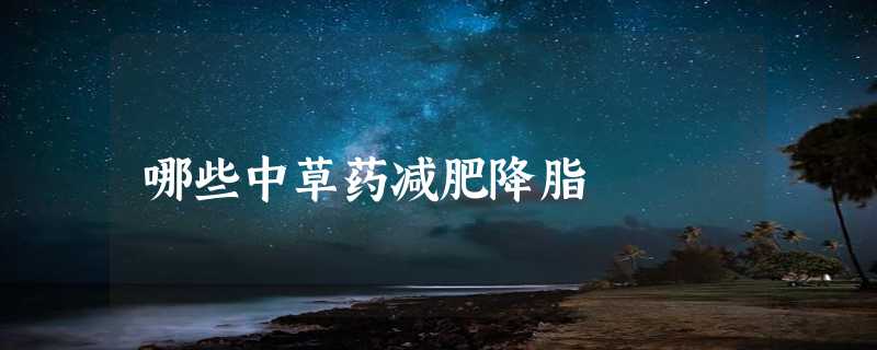 哪些中草药减肥降脂