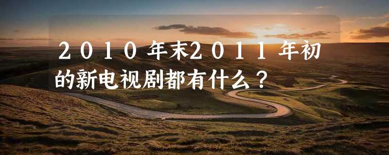 2010年末2011年初的新电视剧都有什么？