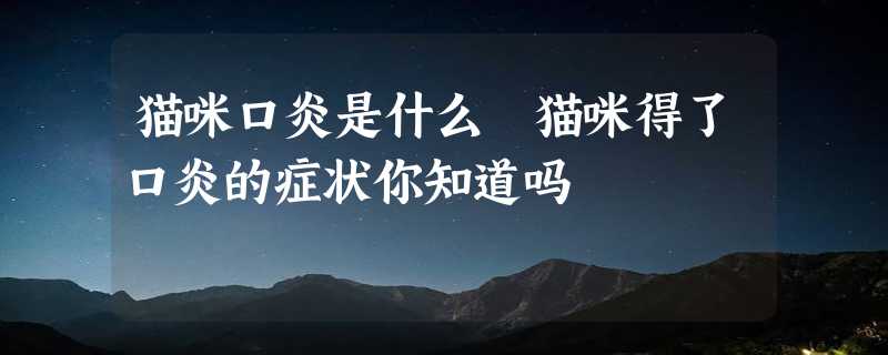 猫咪口炎是什么 猫咪得了口炎的症状你知道吗