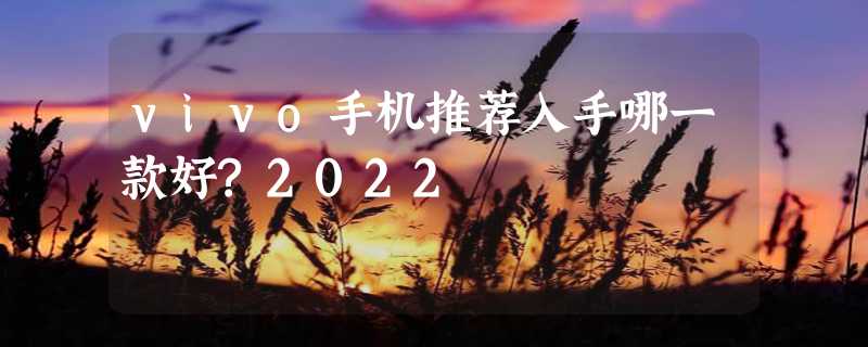 vivo手机推荐入手哪一款好?2022