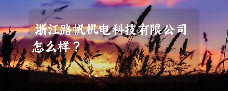 浙江路帆机电科技有限公司怎么样？