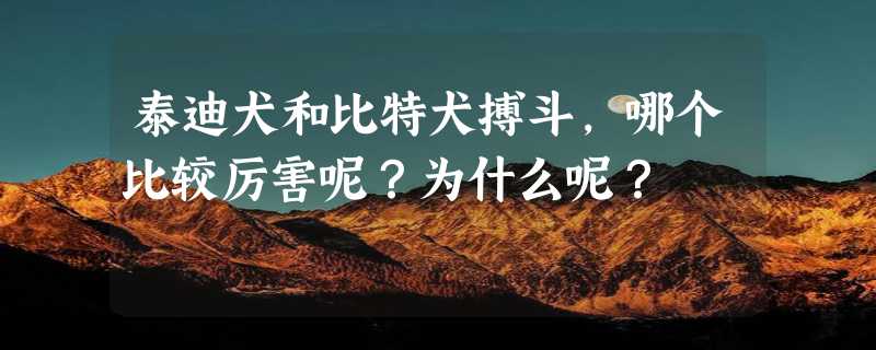 泰迪犬和比特犬搏斗，哪个比较厉害呢？为什么呢？