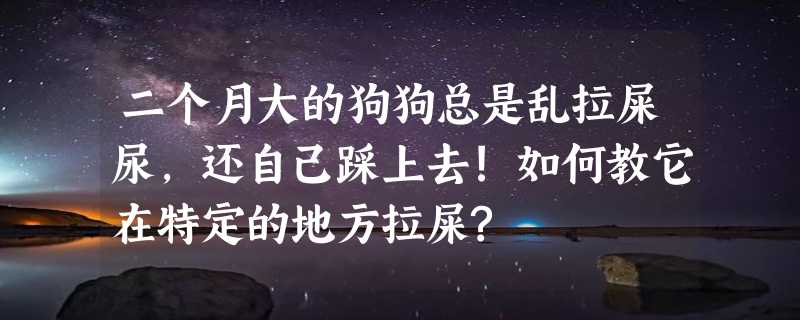 二个月大的狗狗总是乱拉屎尿，还自己踩上去!如何教它在特定的地方拉屎?