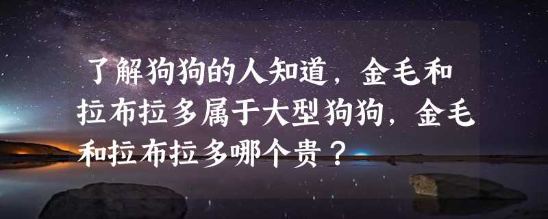 了解狗狗的人知道，金毛和拉布拉多属于大型狗狗，金毛和拉布拉多哪个贵？