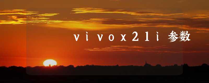 vivox21i参数