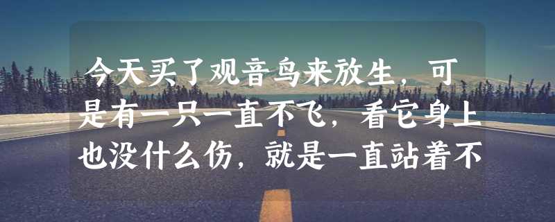 今天买了观音鸟来放生，可是有一只一直不飞，看它身上也没什么伤，就是一直站着不动，还常常闭眼，怎么办