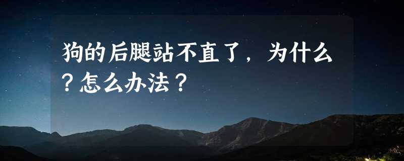 狗的后腿站不直了，为什么？怎么办法？