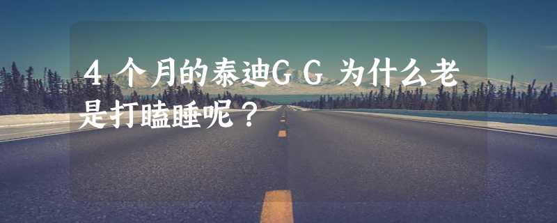 4个月的泰迪GG为什么老是打瞌睡呢？