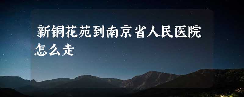 新铜花苑到南京省人民医院怎么走